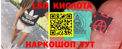 шишки Краснознаменск