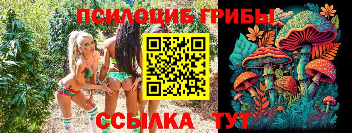 Галлюциногенные грибы Magic Shrooms Заводоуковск