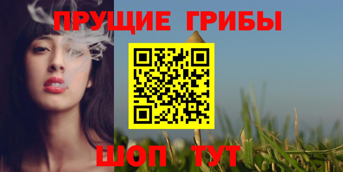 Заводоуковск  Галлюциногенные грибы мицелий  Псилоцибиновые грибы мицелий  Вход с VPN 
